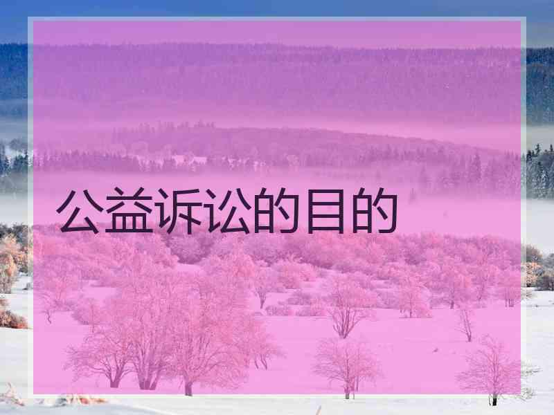 公益诉讼的目的