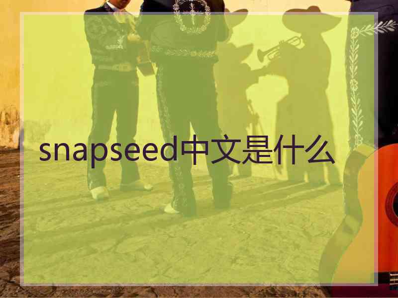 snapseed中文是什么