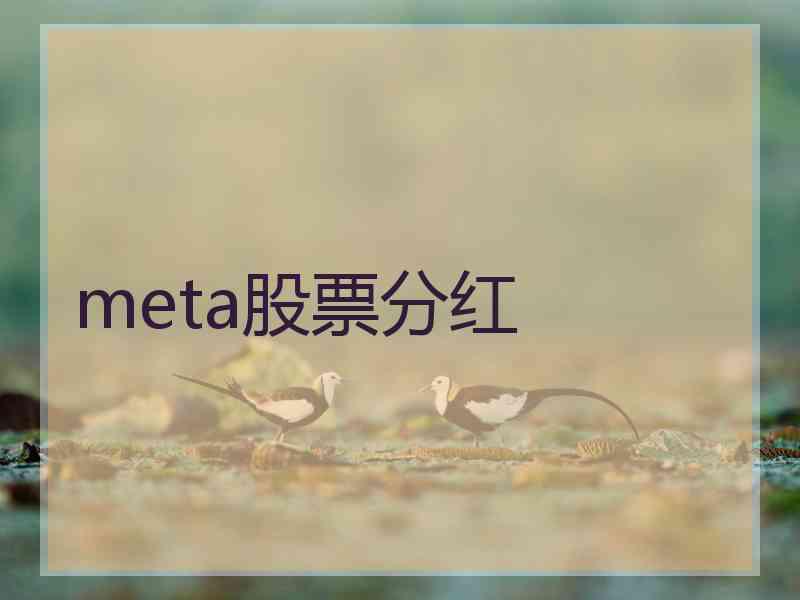 meta股票分红