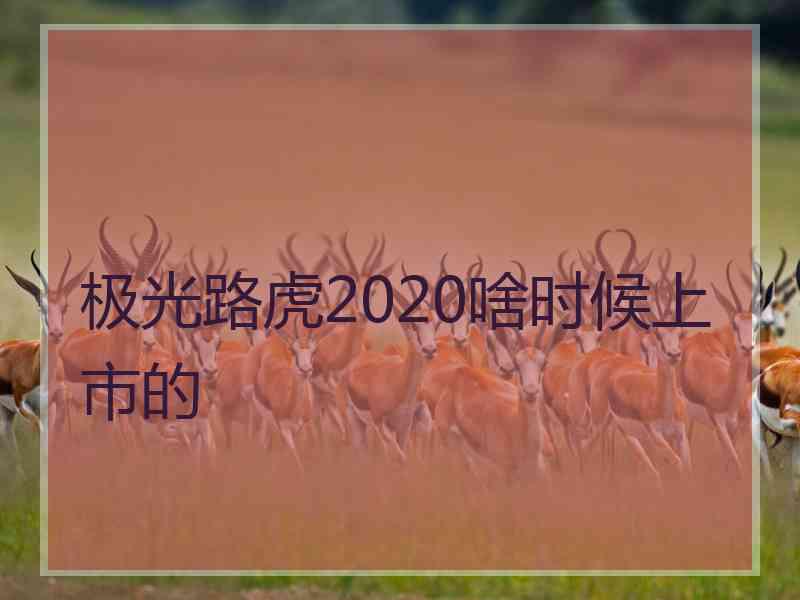 极光路虎2020啥时候上市的