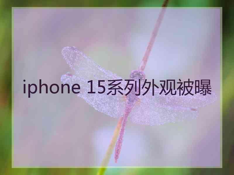 iphone 15系列外观被曝