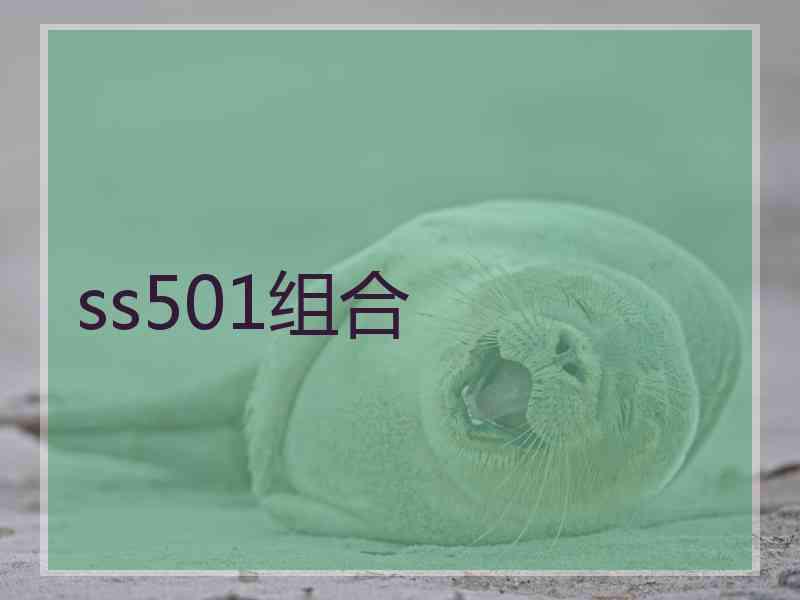 ss501组合