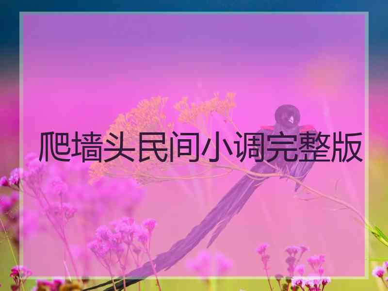 爬墙头民间小调完整版