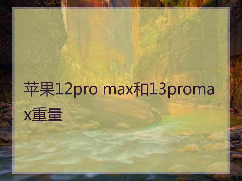 苹果12pro max和13promax重量