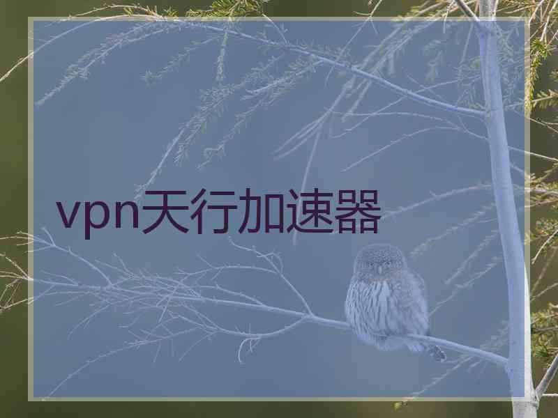 vpn天行加速器