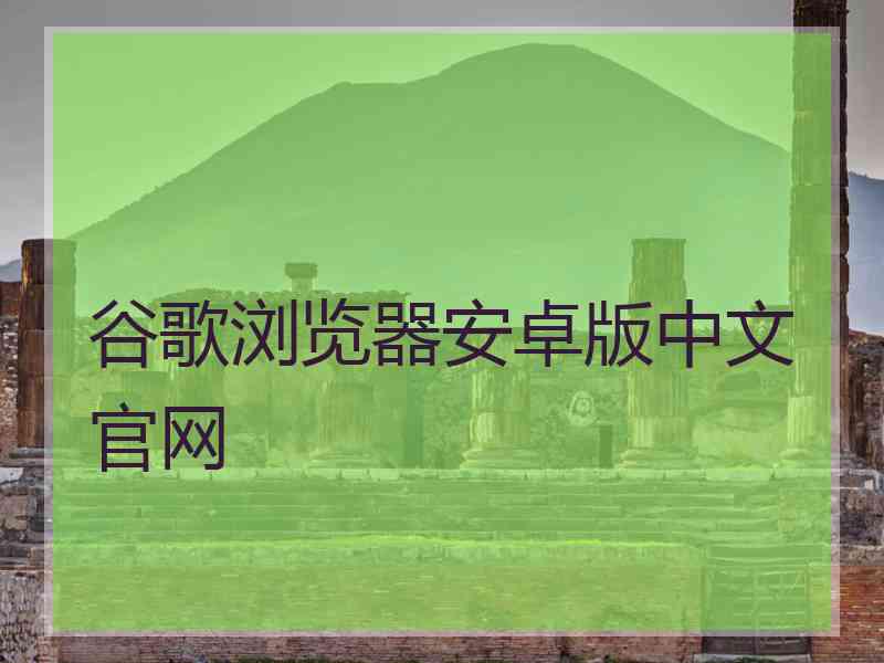 谷歌浏览器安卓版中文官网