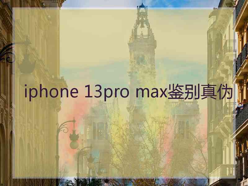 iphone 13pro max鉴别真伪