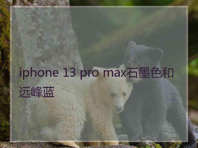 iphone 13 pro max石墨色和远峰蓝