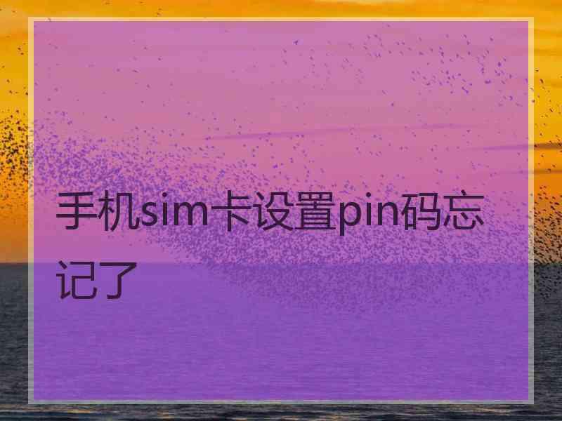 手机sim卡设置pin码忘记了