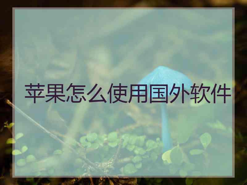 苹果怎么使用国外软件