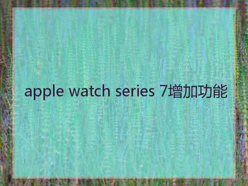 apple watch series 7增加功能