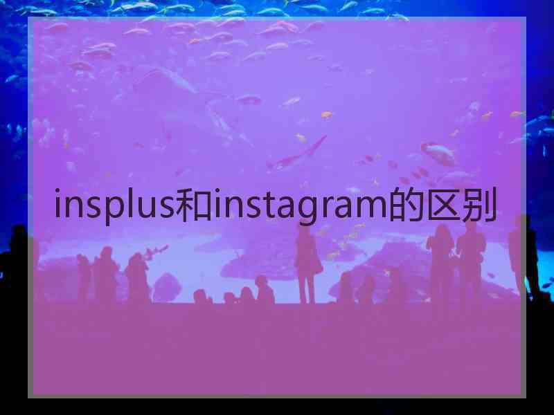 insplus和instagram的区别