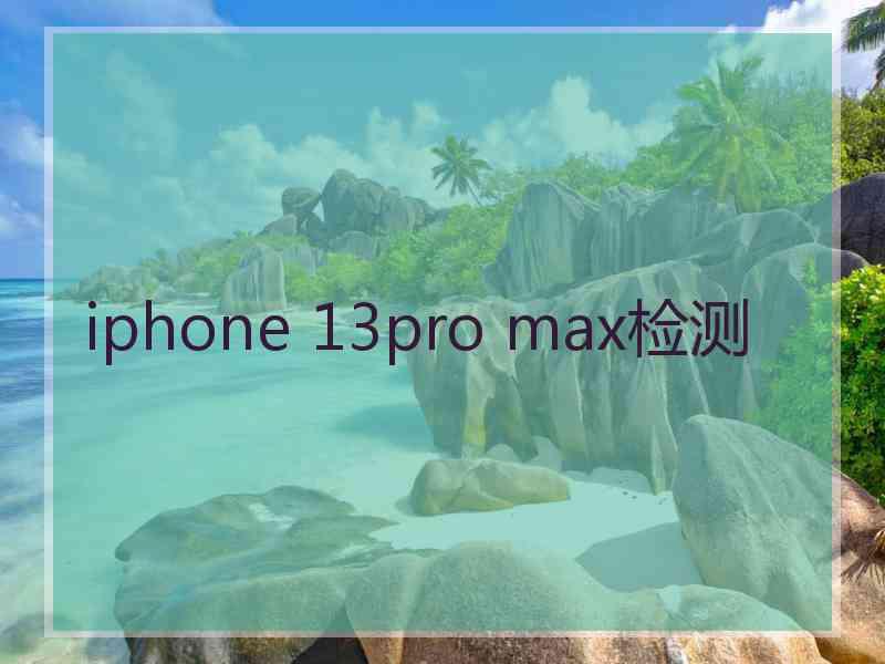 iphone 13pro max检测