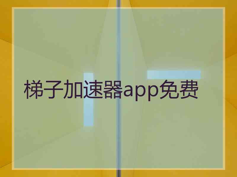 梯子加速器app免费