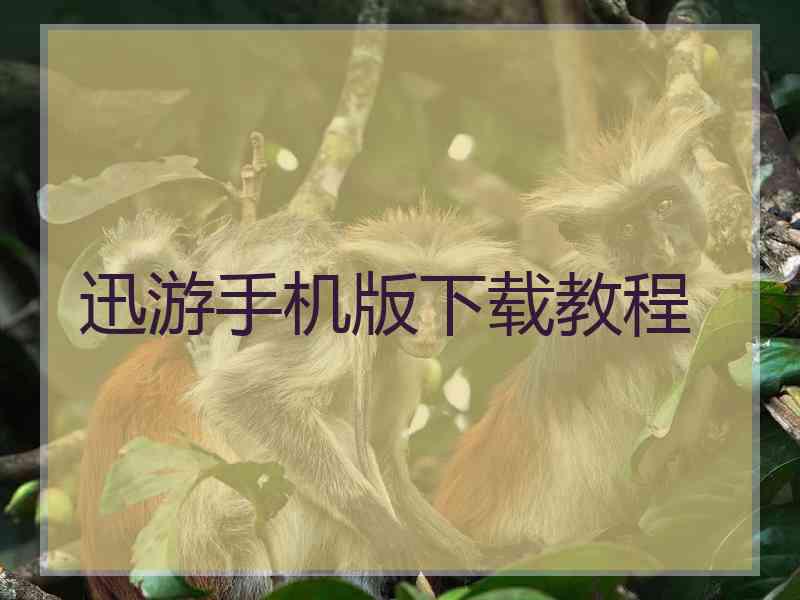 迅游手机版下载教程