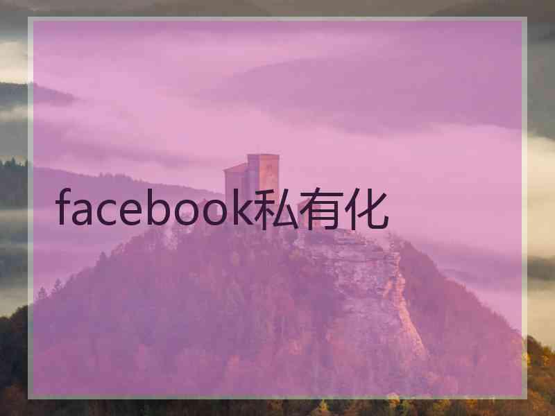 facebook私有化