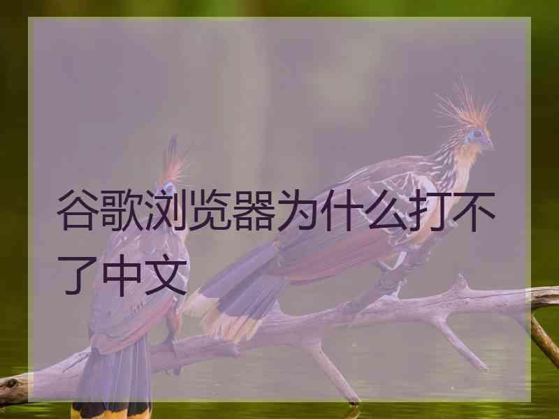 谷歌浏览器为什么打不了中文