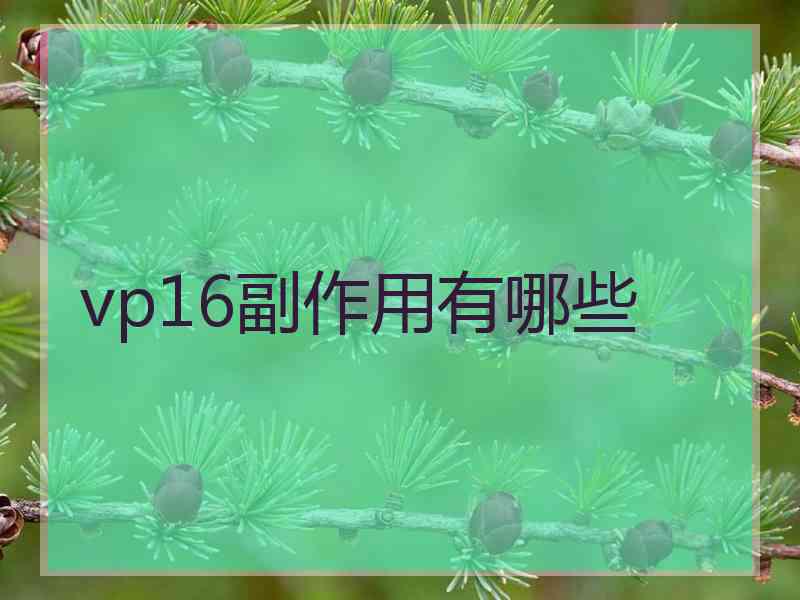 vp16副作用有哪些