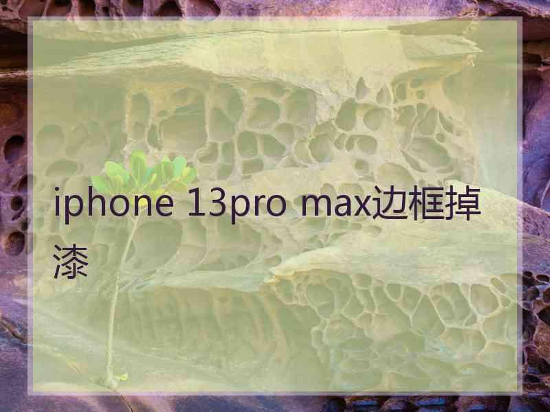 iphone 13pro max边框掉漆