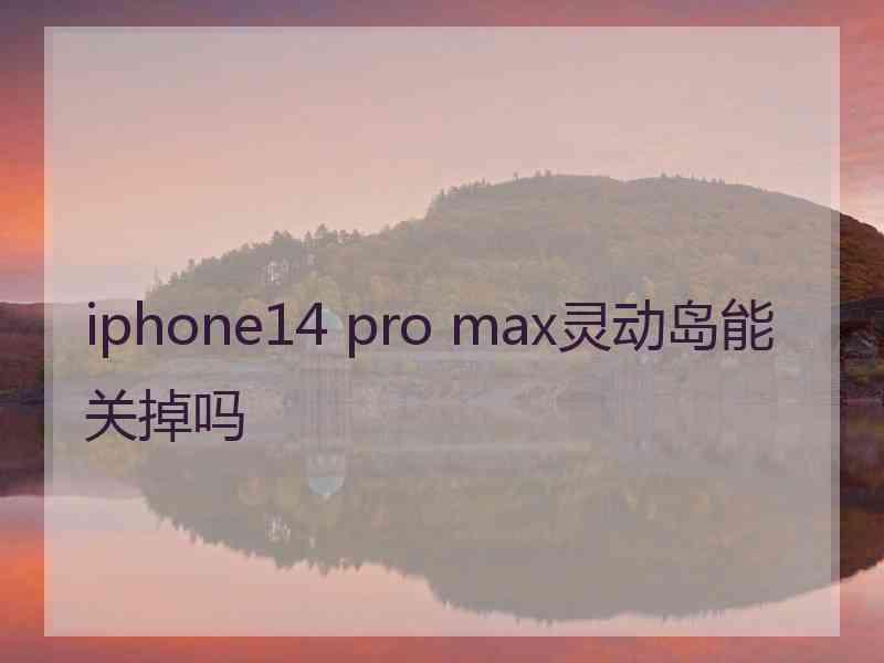 iphone14 pro max灵动岛能关掉吗