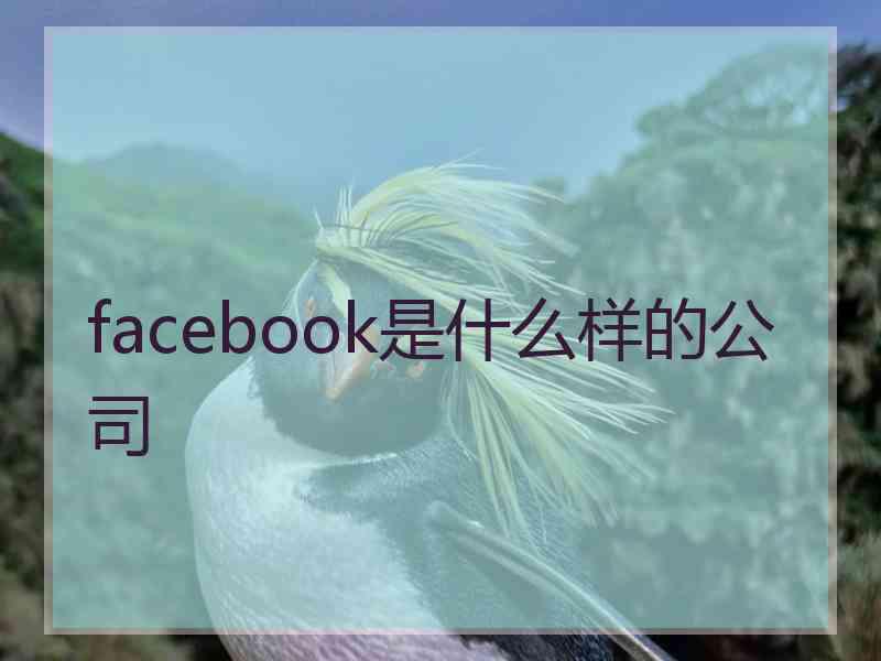 facebook是什么样的公司