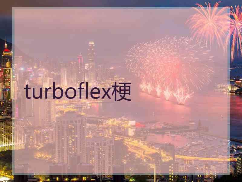 turboflex梗