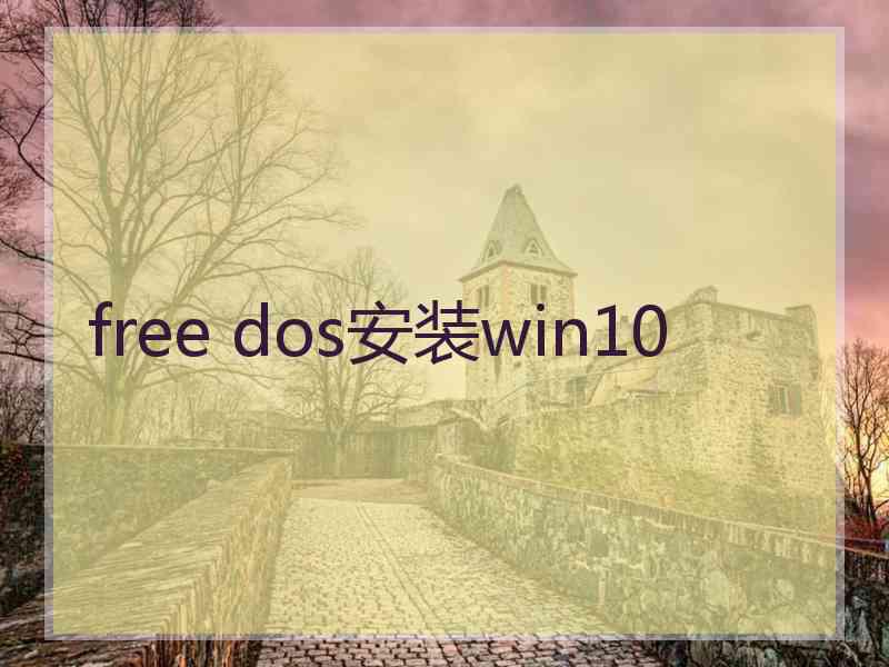 free dos安装win10