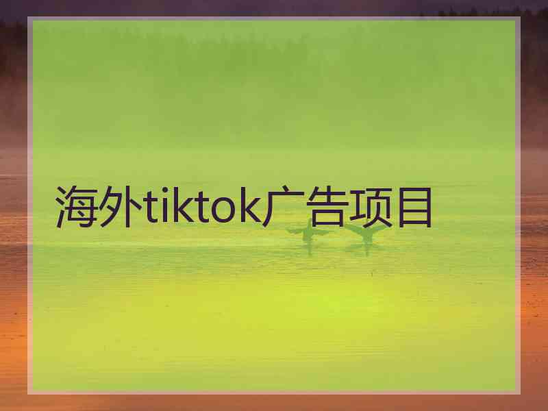 海外tiktok广告项目