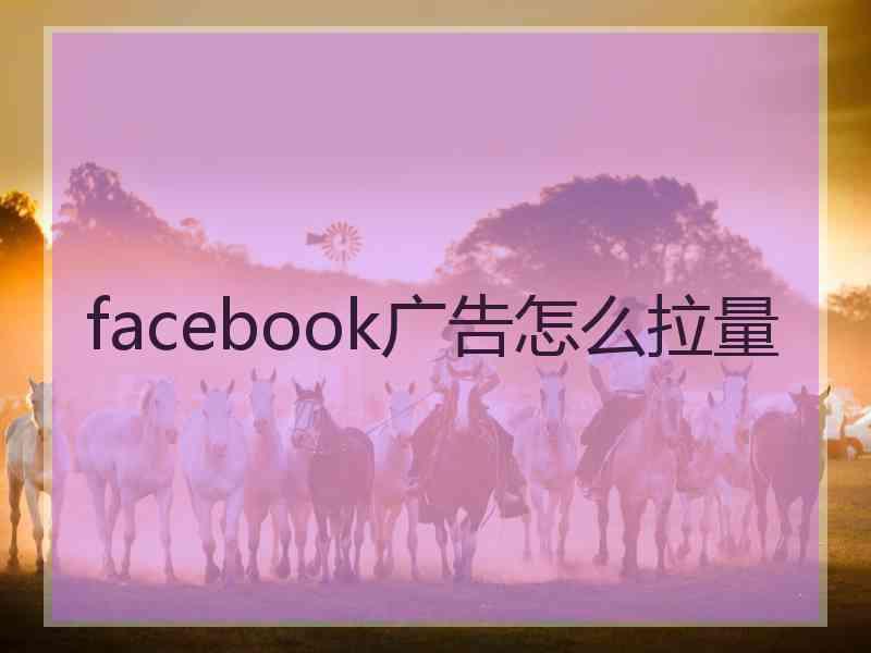 facebook广告怎么拉量