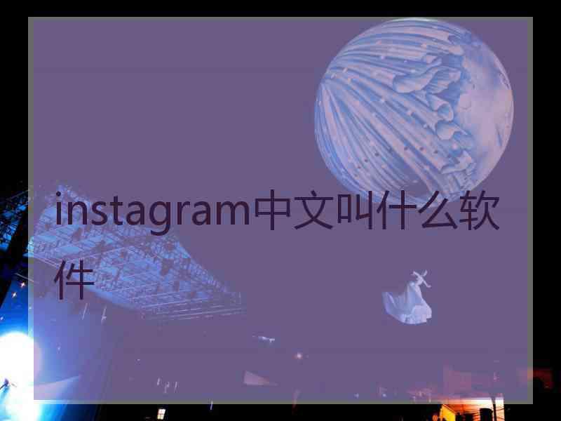 instagram中文叫什么软件