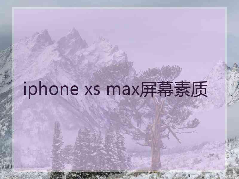 iphone xs max屏幕素质