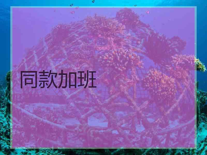 同款加班