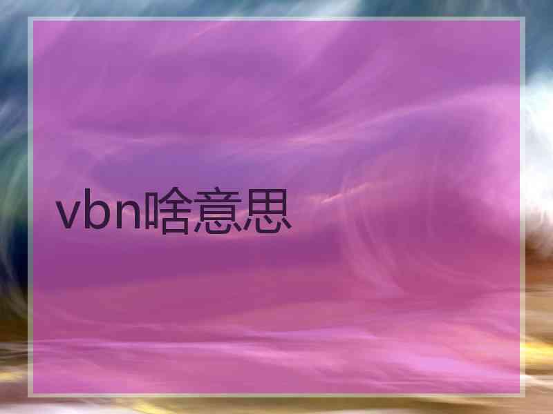 vbn啥意思