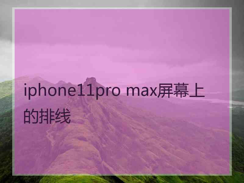 iphone11pro max屏幕上的排线