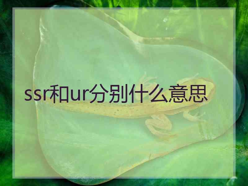 ssr和ur分别什么意思