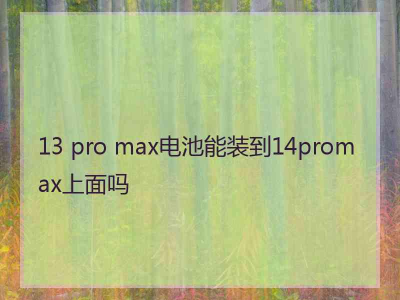 13 pro max电池能装到14promax上面吗