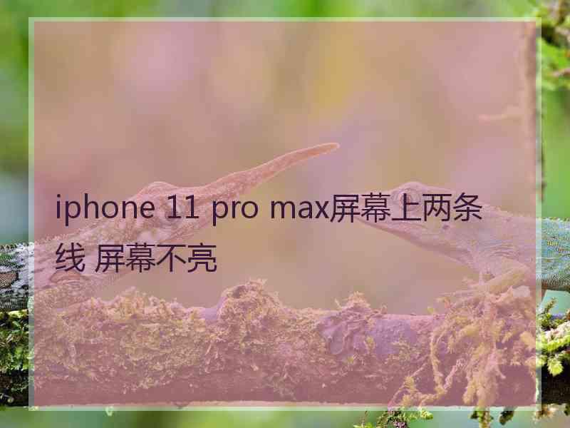 iphone 11 pro max屏幕上两条线 屏幕不亮