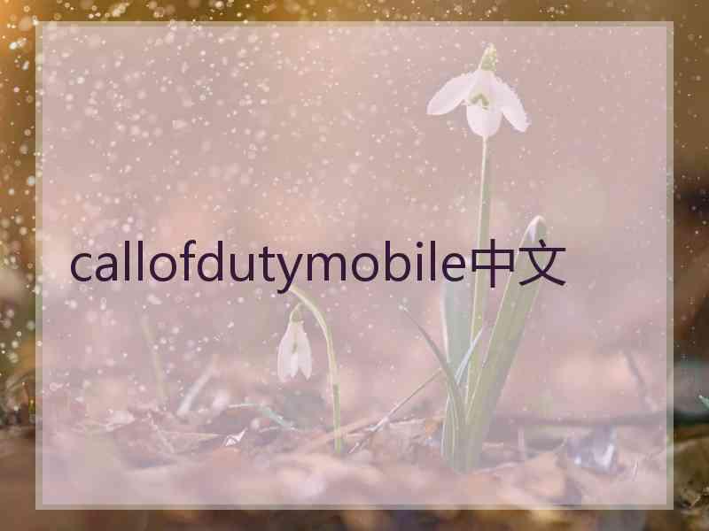 callofdutymobile中文