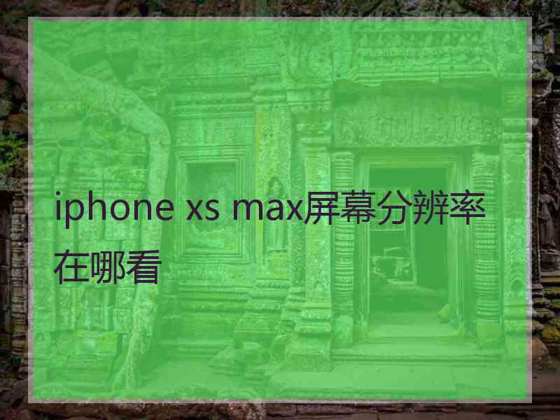 iphone xs max屏幕分辨率在哪看