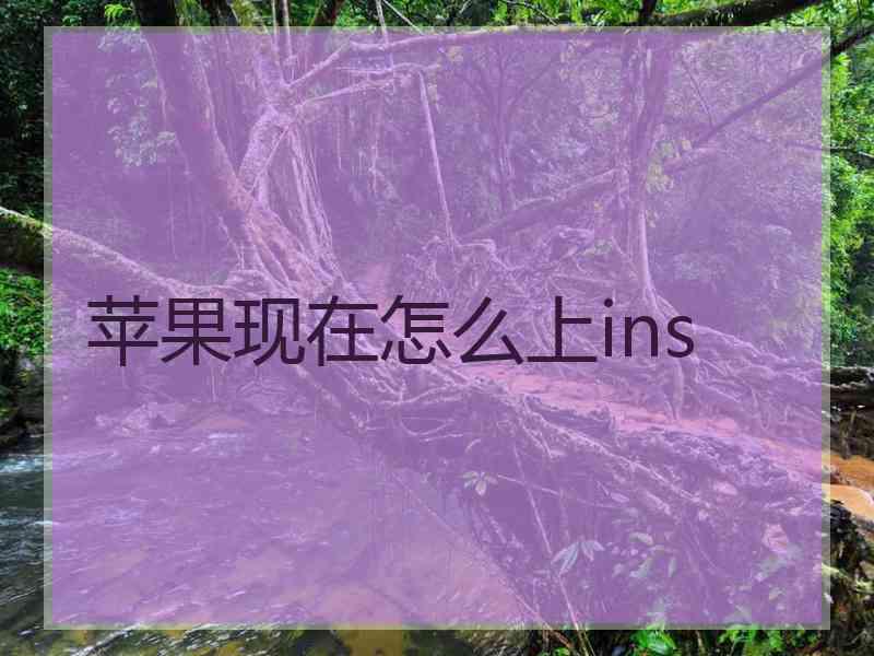 苹果现在怎么上ins