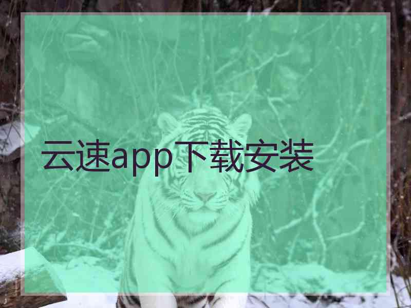 云速app下载安装