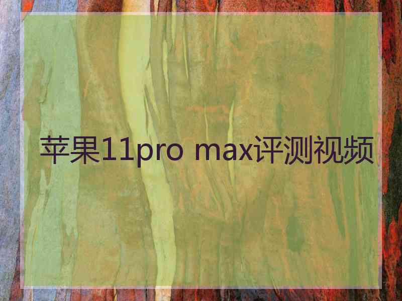 苹果11pro max评测视频