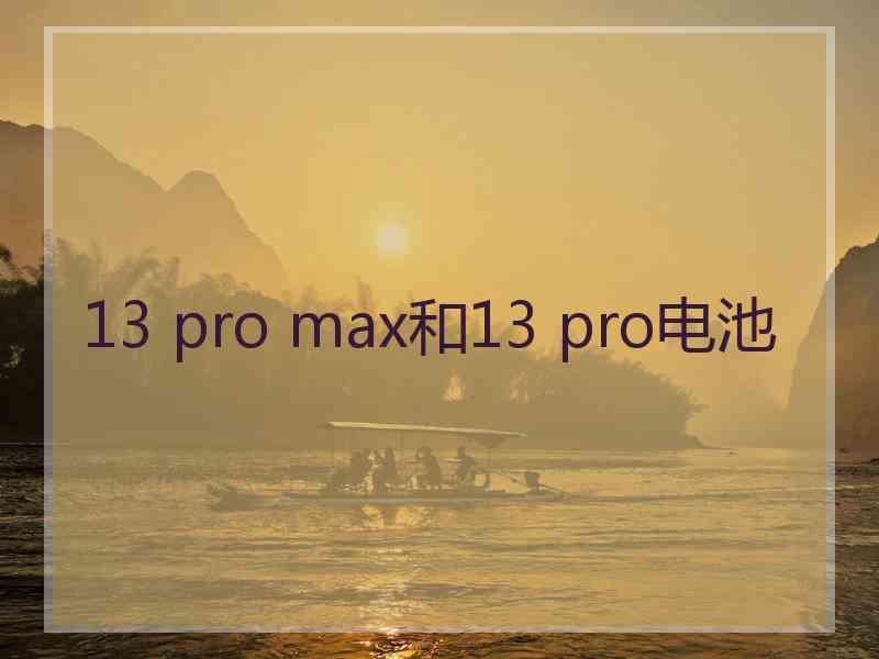 13 pro max和13 pro电池