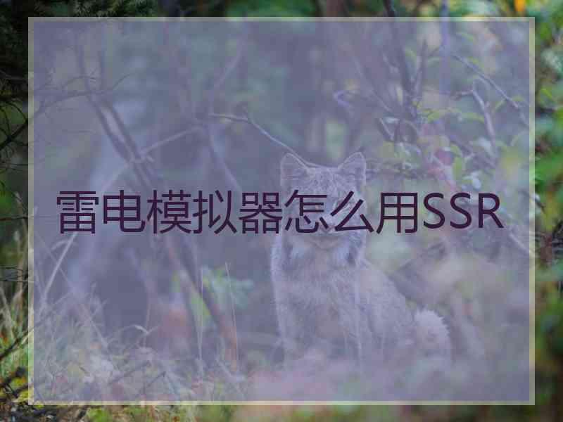 雷电模拟器怎么用SSR