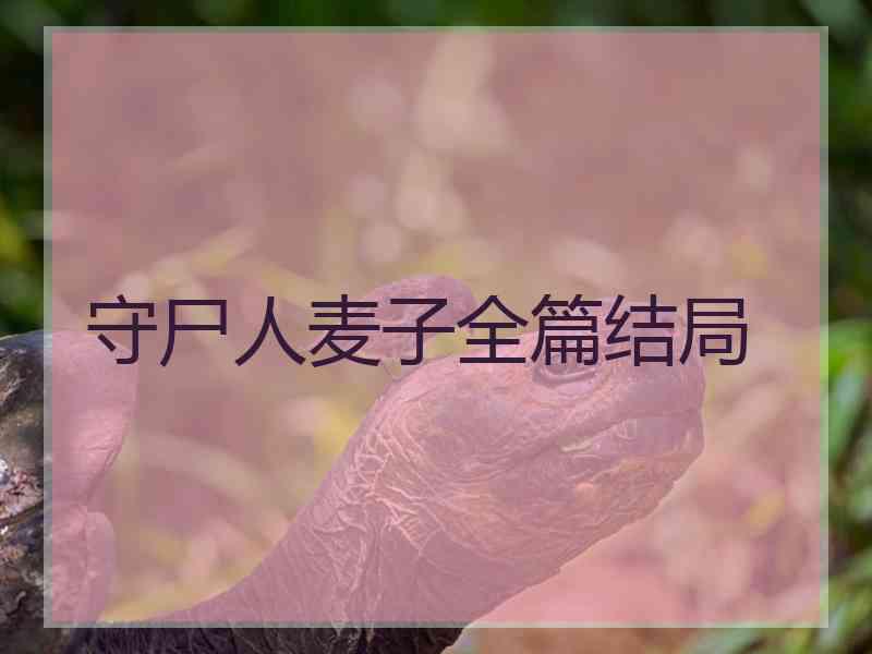 守尸人麦子全篇结局