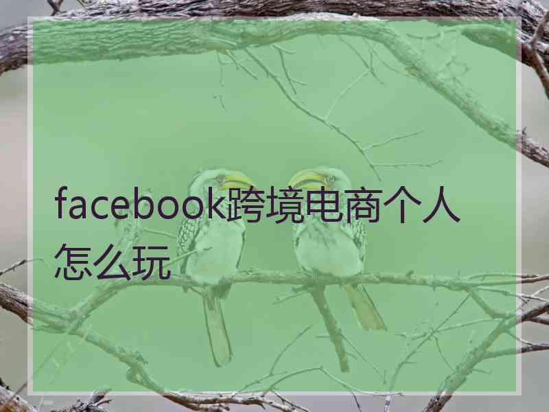 facebook跨境电商个人怎么玩