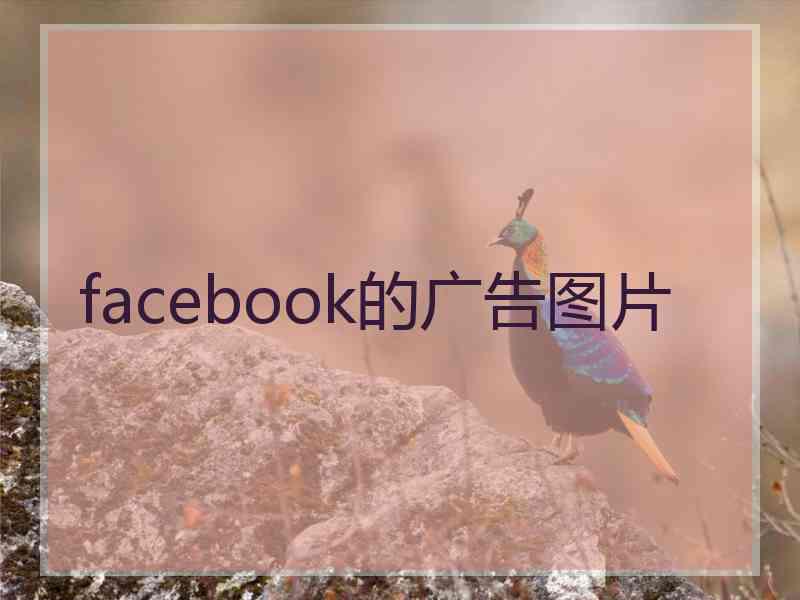 facebook的广告图片