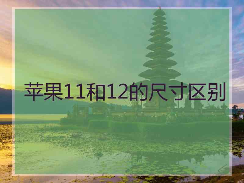 苹果11和12的尺寸区别