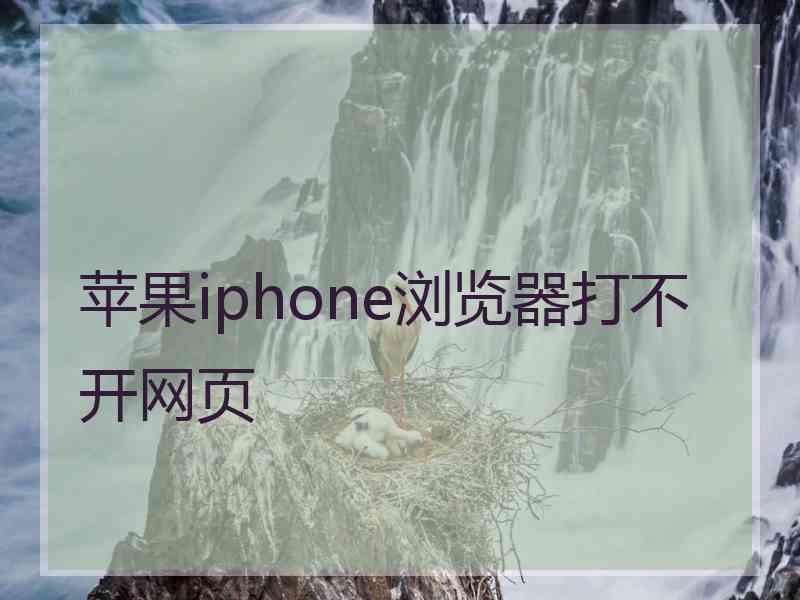 苹果iphone浏览器打不开网页