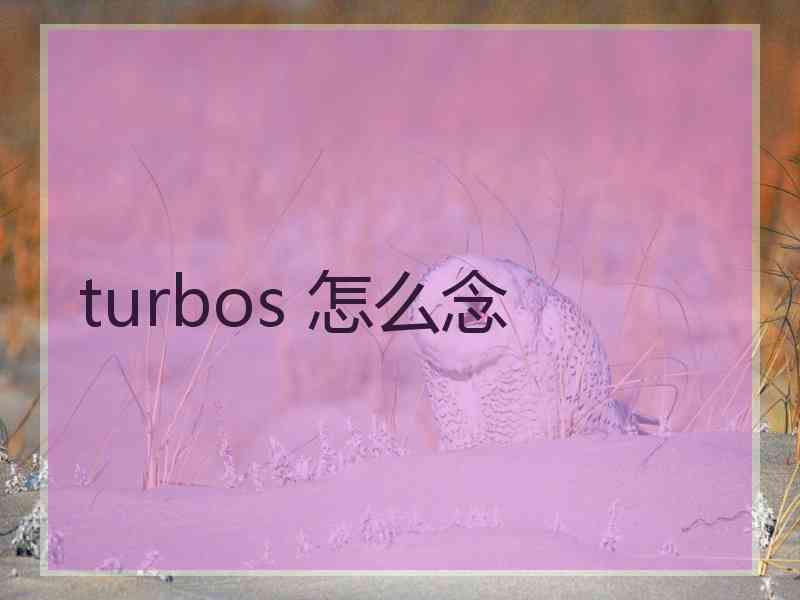 turbos 怎么念